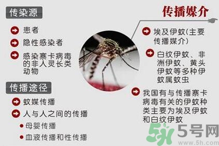 寨卡病毒對孕婦有危害嗎？寨卡病毒對孕婦的危害有哪些？
