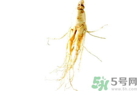 人參怎么吃效果最好？人參的做法大全