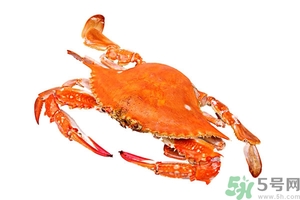 懷孕期間能吃螃蟹嗎？吃螃蟹會影響懷孕嗎？