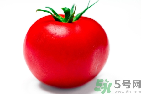 番茄和西紅柿有什么區(qū)別？番茄和西紅柿一樣嗎？