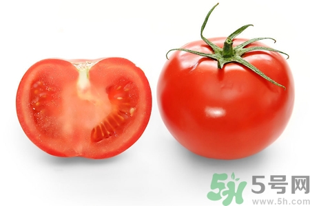番茄和西紅柿有什么區(qū)別？番茄和西紅柿一樣嗎？