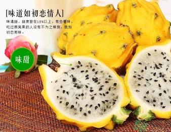 黃龍果多少錢一斤？黃龍果的功效作用