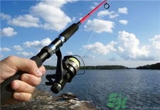 火腿腸可以釣魚(yú)嗎?火腿腸釣魚(yú)效果怎么樣?