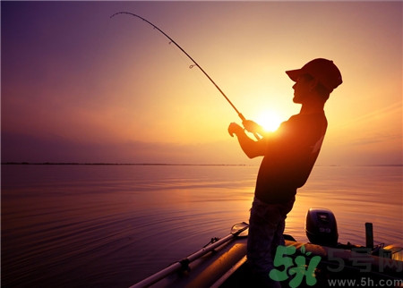 火腿腸可以釣魚(yú)嗎?火腿腸釣魚(yú)效果怎么樣?