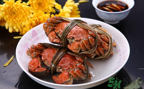 海蟹什么時(shí)候最肥？海蟹什么時(shí)候吃最好？