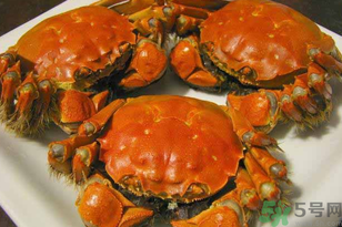 洪澤湖大閘蟹多少錢一斤？洪澤湖大閘蟹價(jià)格