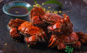 陽澄湖大閘蟹死了還能吃嗎？陽澄湖大閘蟹死了為什么不能吃？