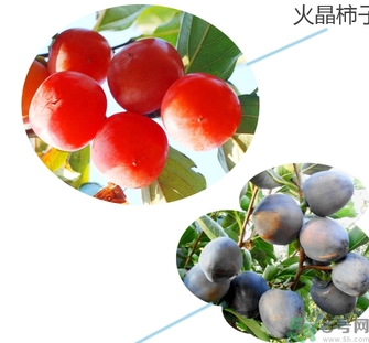 黑柿的營養(yǎng)價值及功效 黑柿怎么吃？