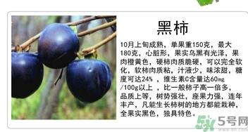 黑柿的營養(yǎng)價值及功效 黑柿怎么吃？