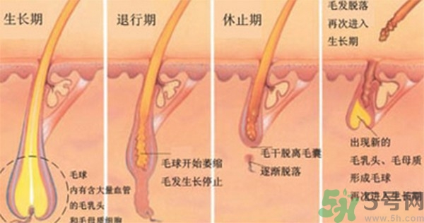 紋眉后要補色嗎？紋眉后多久可以補色？
