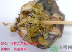 梭子蟹哪些部位不能吃？梭子蟹哪些人不能吃？