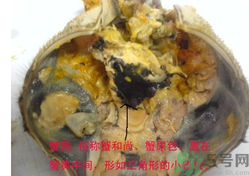 梭子蟹哪些部位不能吃？梭子蟹哪些人不能吃？