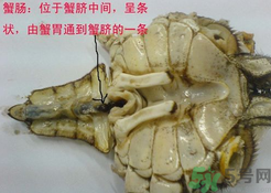 梭子蟹哪些部位不能吃？梭子蟹哪些人不能吃？