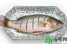 秋季適合吃什么魚？秋季吃魚的好處？