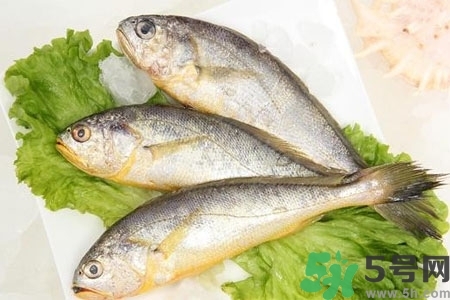 秋季適合吃什么魚？秋季吃魚的好處？