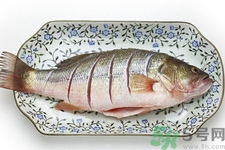 如何挑選新鮮魚？怎樣吃到不被污染的魚？