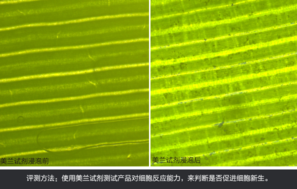 sk2大眼眼霜怎么樣？sk2大眼眼霜好用嗎？