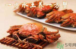 盤錦河蟹和陽澄湖大閘蟹的區(qū)別？盤錦河蟹和陽澄湖大閘蟹哪個(gè)比較好吃？