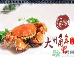 陽澄湖大閘蟹為什么出名？陽澄湖大閘蟹出名的原因