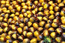 吃栗子會(huì)胖嗎？栗子吃多了會(huì)怎樣？