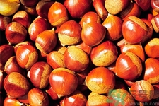 吃栗子會(huì)胖嗎？栗子吃多了會(huì)怎樣？