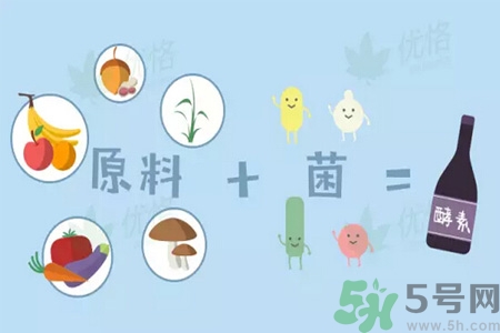 酵素是什么？吃酵素減肥有效果嗎？