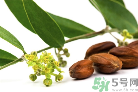 荷荷巴油可以直接擦臉嗎？荷荷巴油怎么去黑頭？