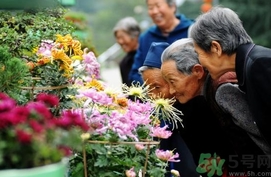 重陽節(jié)是陰歷還是陽歷？重陽節(jié)是什么意思？
