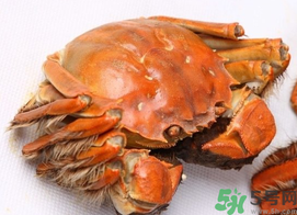 河蟹死了一天能吃嗎？河蟹死了多久不能吃？