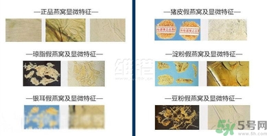 去香港買燕窩哪里好？香港哪里買燕窩比較好正宗？