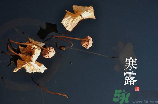 寒露是什么意思？寒露是幾月幾日