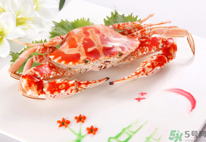 梭子蟹和花蟹的區(qū)別？梭子蟹和花蟹哪個好吃？