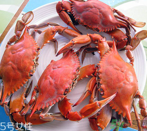 梭子蟹和飛蟹的區(qū)別？飛蟹是梭子蟹嗎？