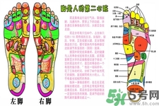 孕婦可以用生姜泡腳嗎？生姜泡腳的方法是什么？