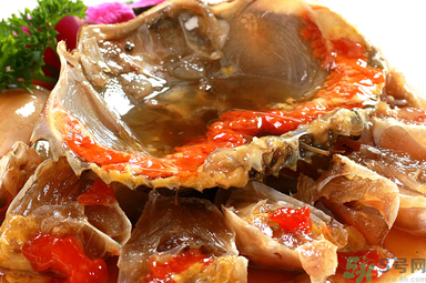 膏蟹是河蟹還是海蟹？膏蟹是什么蟹？
