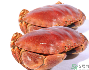 面包蟹多少錢一斤？面包蟹多少錢一只？