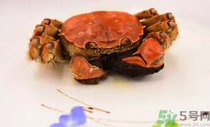 珍寶蟹和面包蟹的區(qū)別？珍寶蟹和面包蟹哪個好吃？
