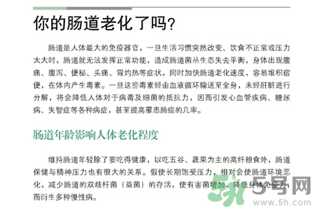 引起腸道老化的原因是什么？四種人腸道老化快