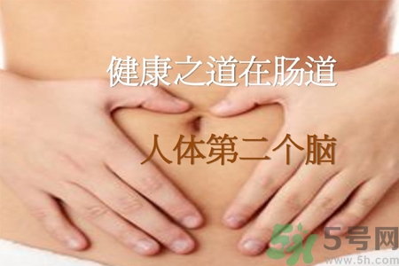 引起腸道老化的原因是什么？四種人腸道老化快