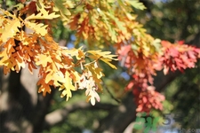 秋燥皮膚癢吃什么好？秋燥4妙招保護(hù)皮膚