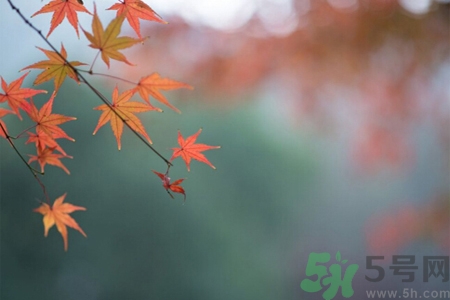 秋燥皮膚癢吃什么好？秋燥4妙招保護(hù)皮膚