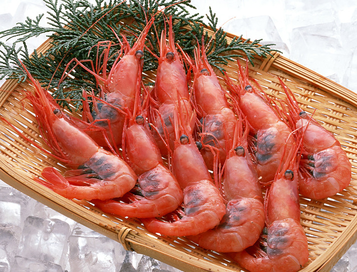海蝦煮多長時間熟？海蝦怎么煮？