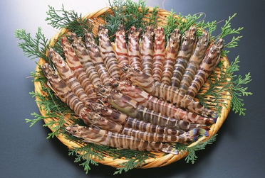 海蝦煮多長時間熟？海蝦怎么煮？