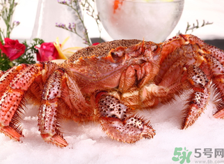 海蟹死了可以吃嗎？海蟹死了多久還能吃？