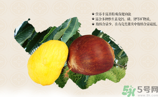 板栗和什么一起泡酒好？板栗泡酒的功效與作用有哪些？