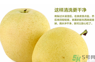 皇冠梨是雪梨嗎？皇冠梨和雪梨的區(qū)別