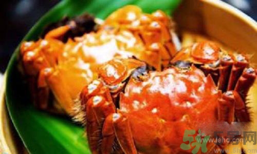 蟹膏是螃蟹的什么？蟹膏的營(yíng)養(yǎng)價(jià)值