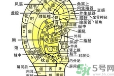 每天揉耳朵有什么好處？?揉耳朵的正確方法是什么？
