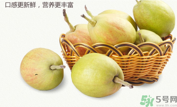 孕婦能吃香梨嗎？香梨孕婦可以吃嗎？