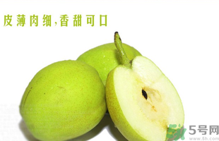 孕婦能吃香梨嗎？香梨孕婦可以吃嗎？